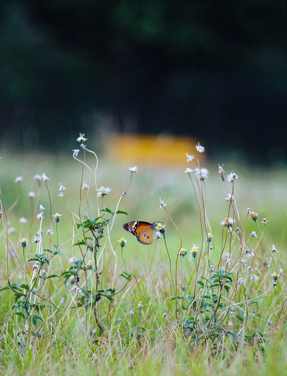 Butterfly Flower