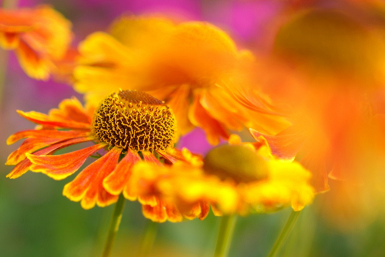 Helenium Flower Background