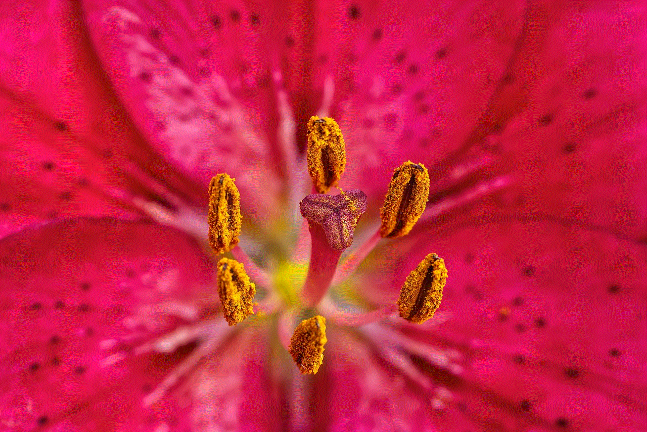 Pink Flower Stamens