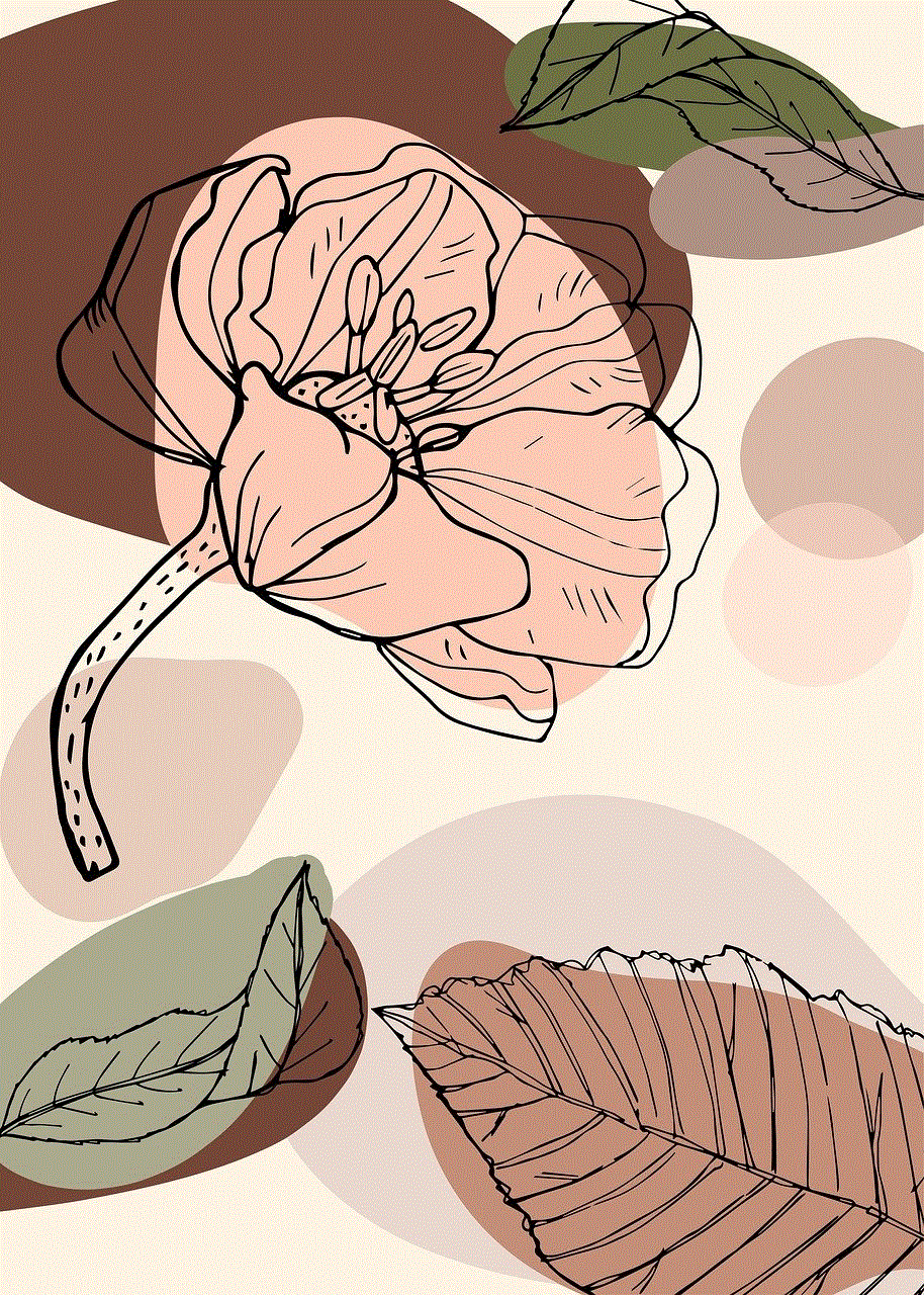 Abstract Flower Abstract Flower