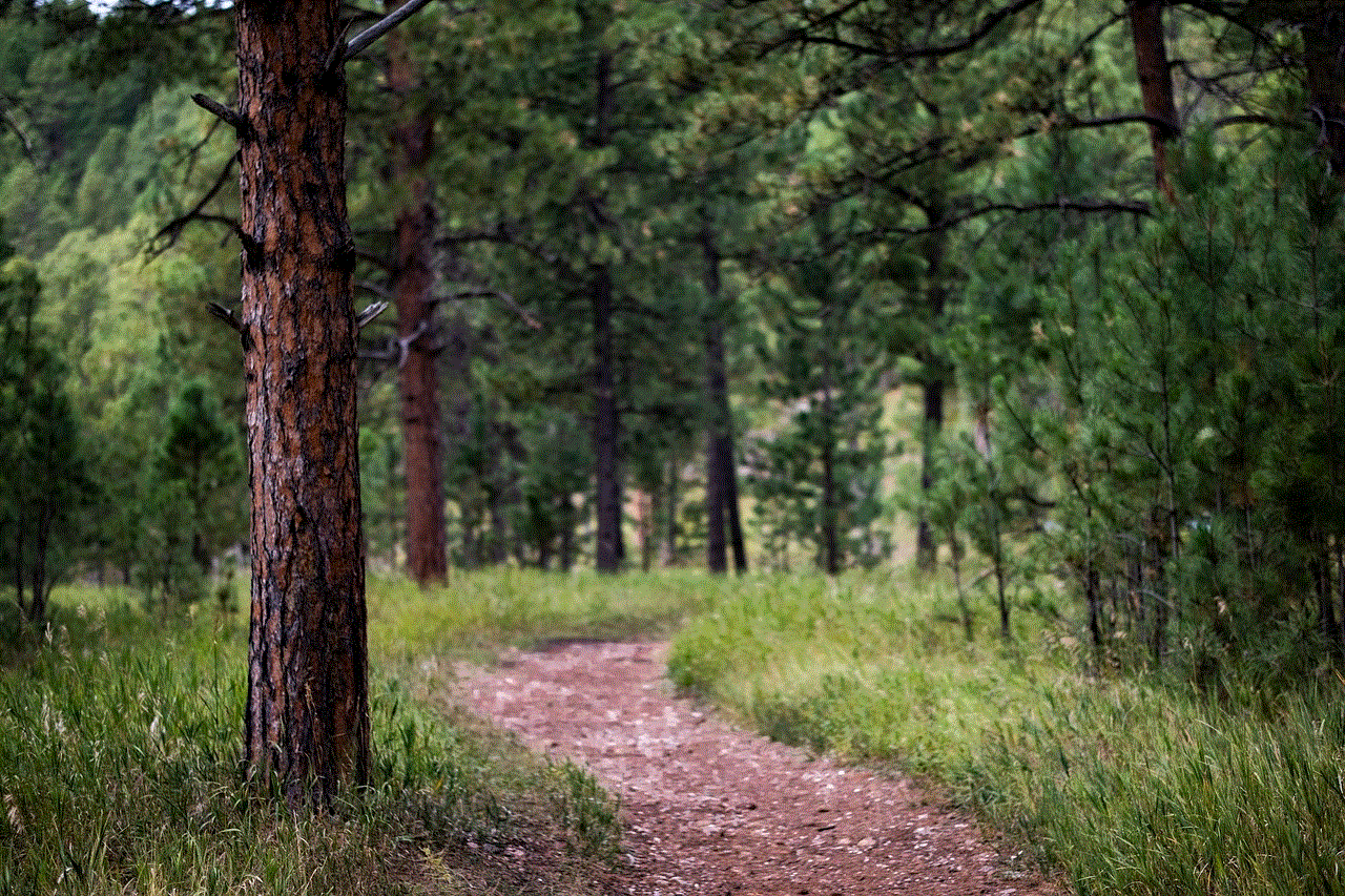 Landscape Tree