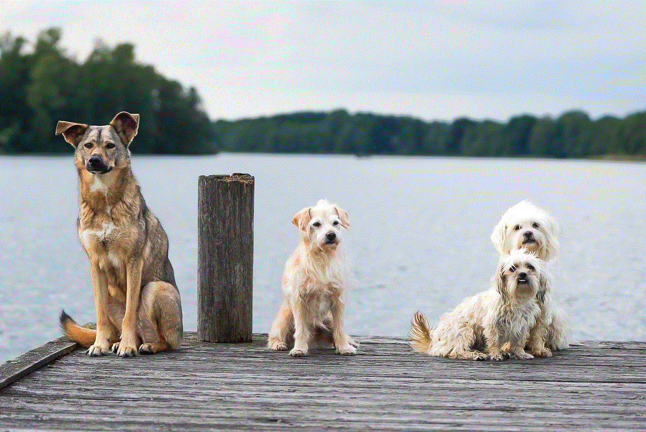 Dogs Lake
