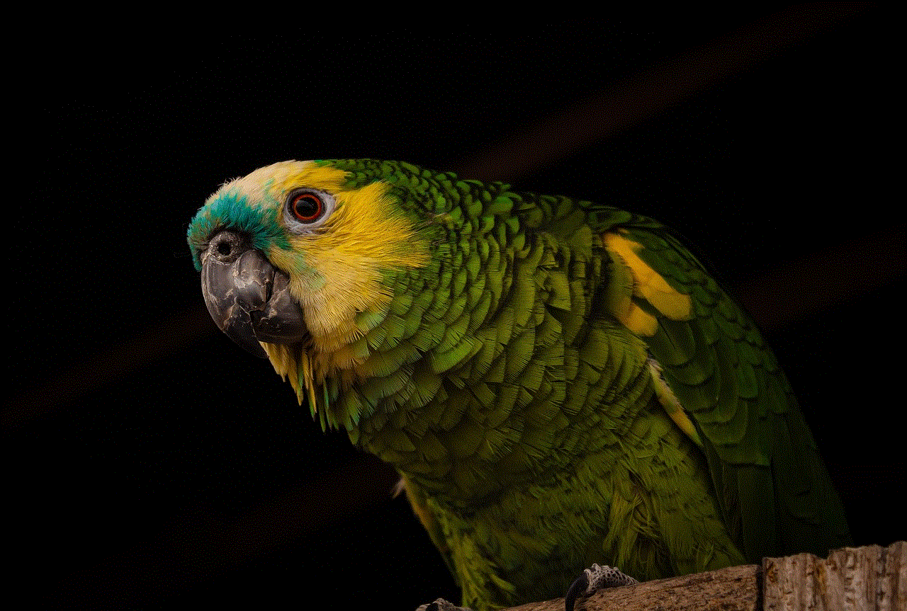 Parrot Bird