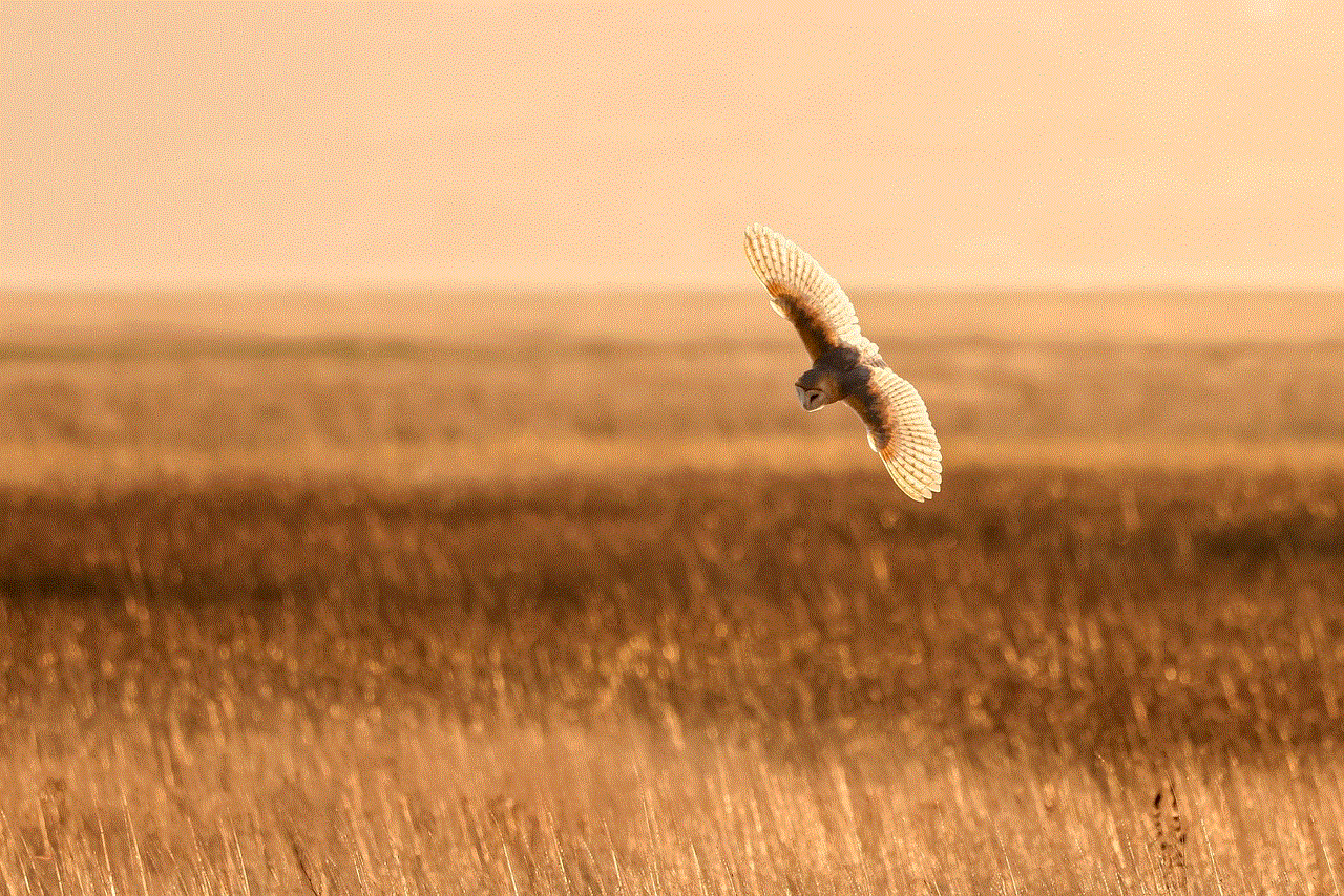 Bird Sunset