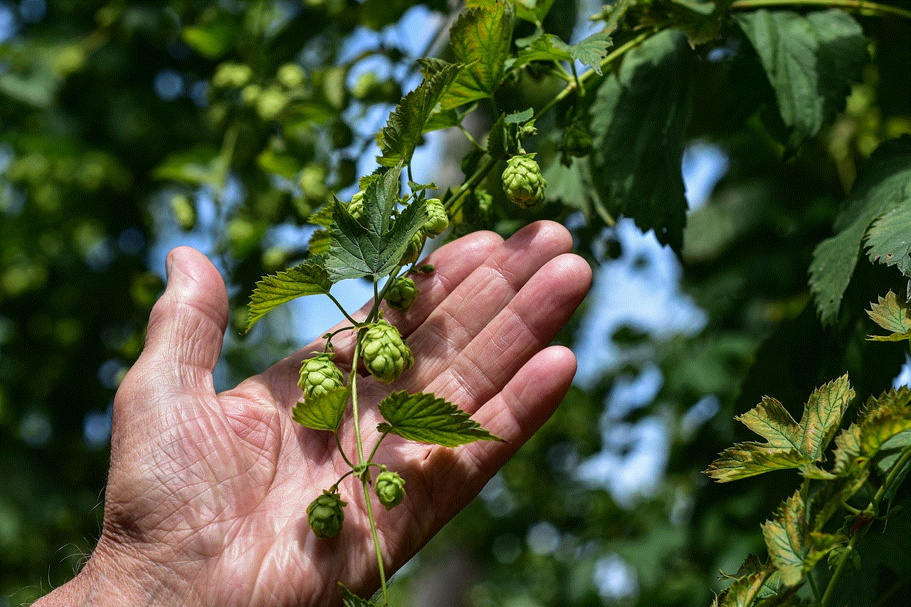 Hop Vines Hop