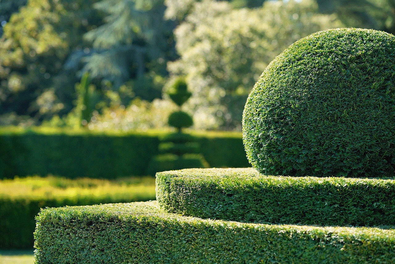 Garden Hedge