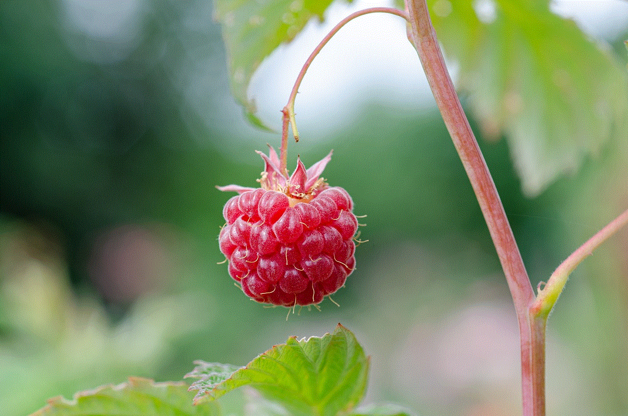 Raspberry Fruit