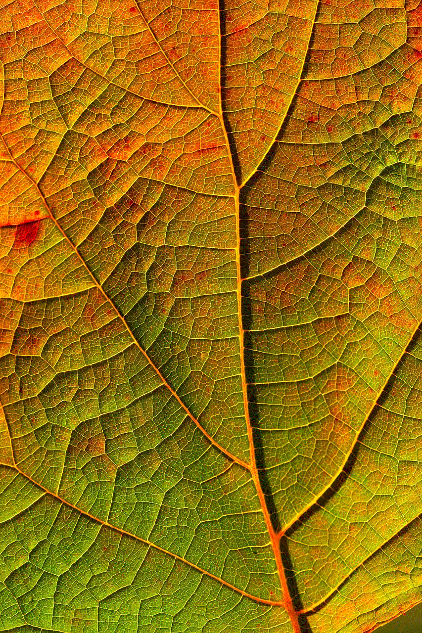 Leaf Veins