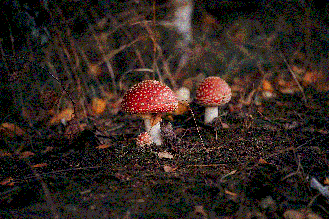 Mushroom Forest