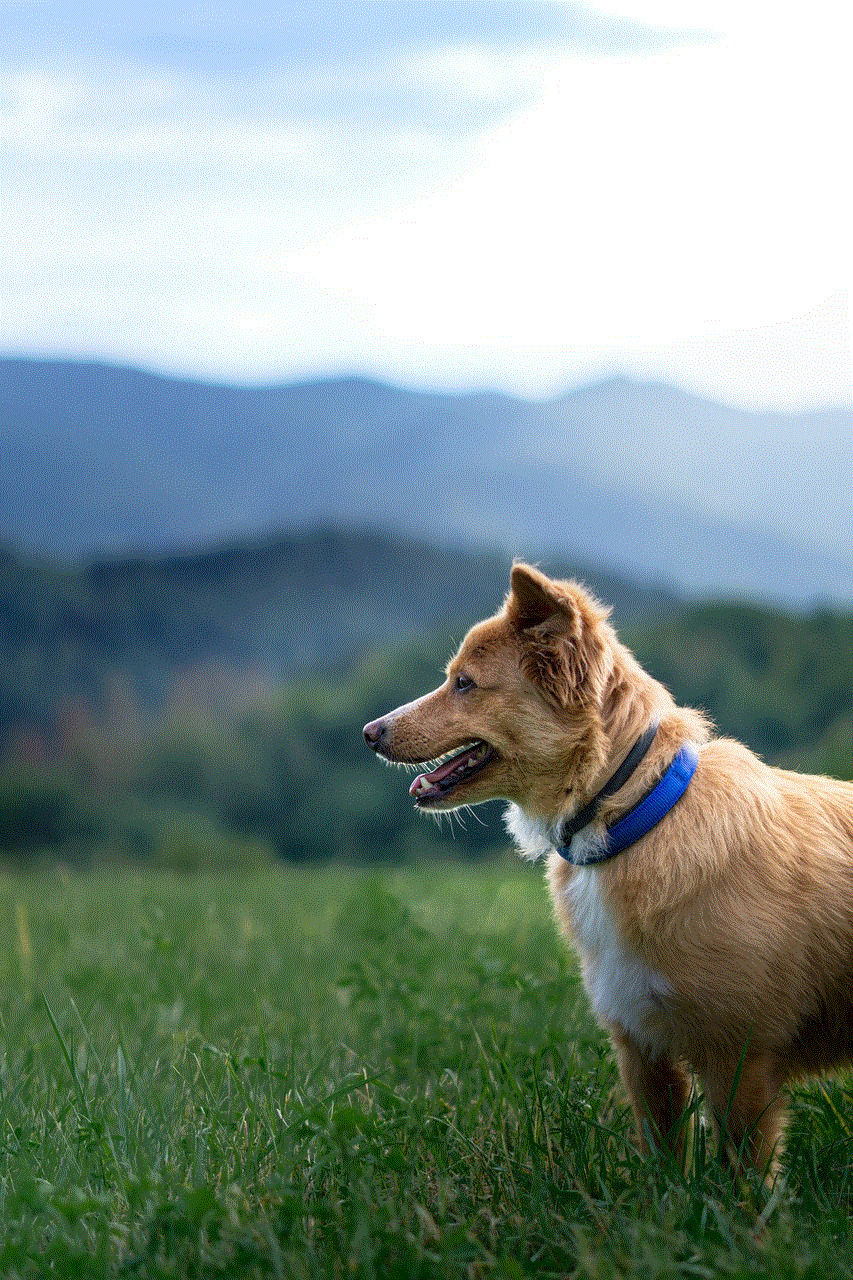 Dog Mountain