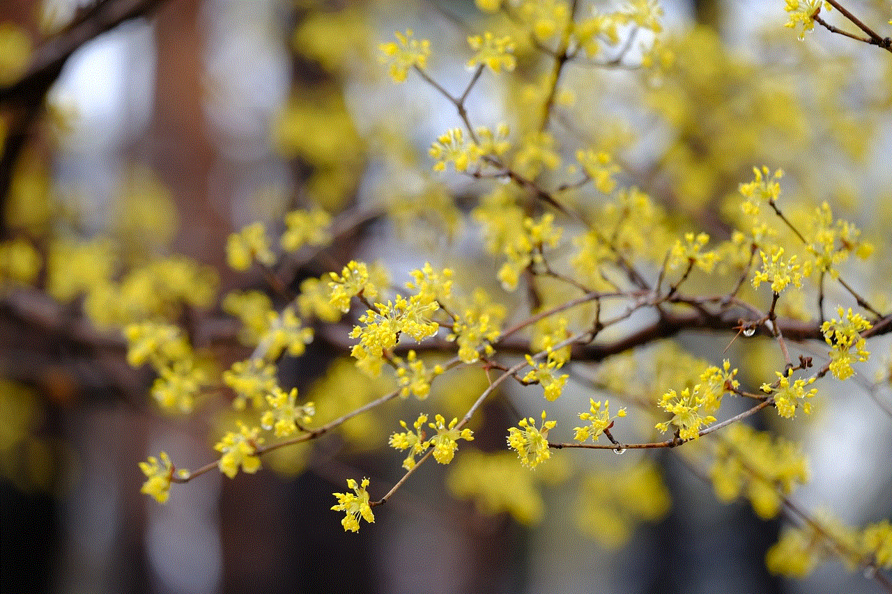 Cornelian Cherry Flowers