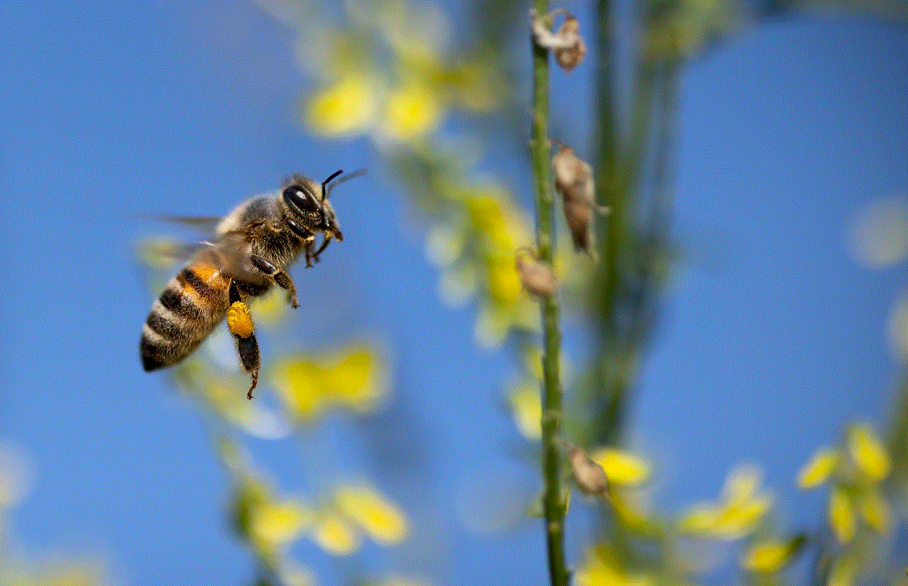 Bee Flying Insect