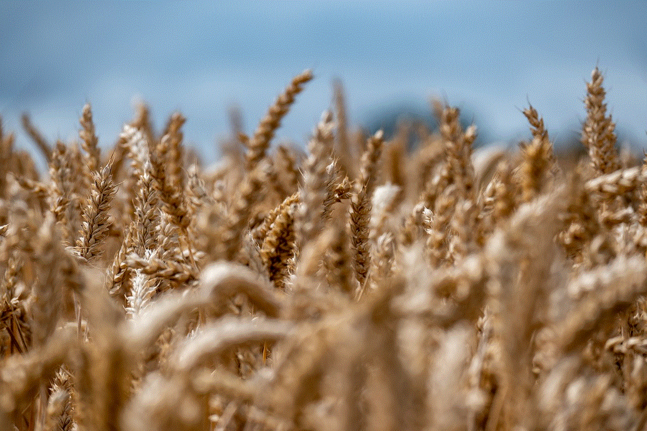 Wheat Field