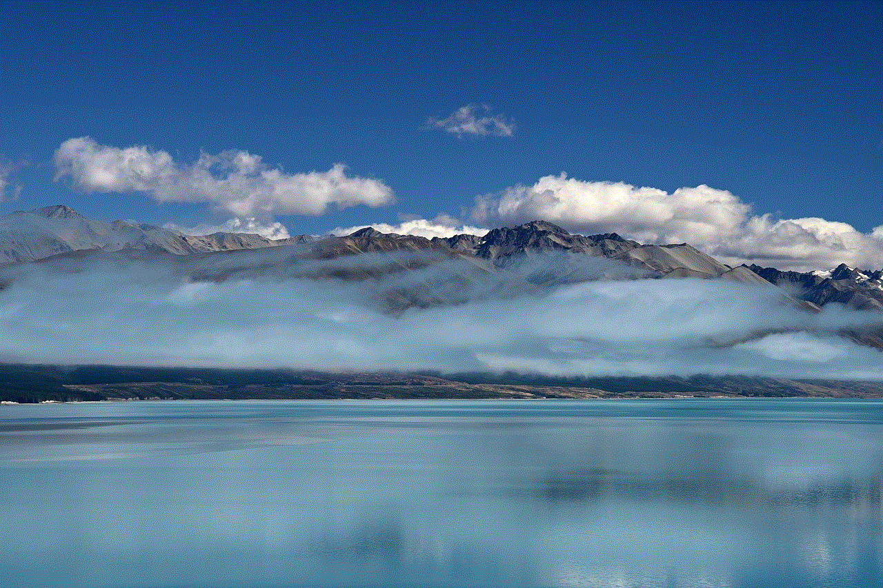 Lake Pukaki Alpine Lake