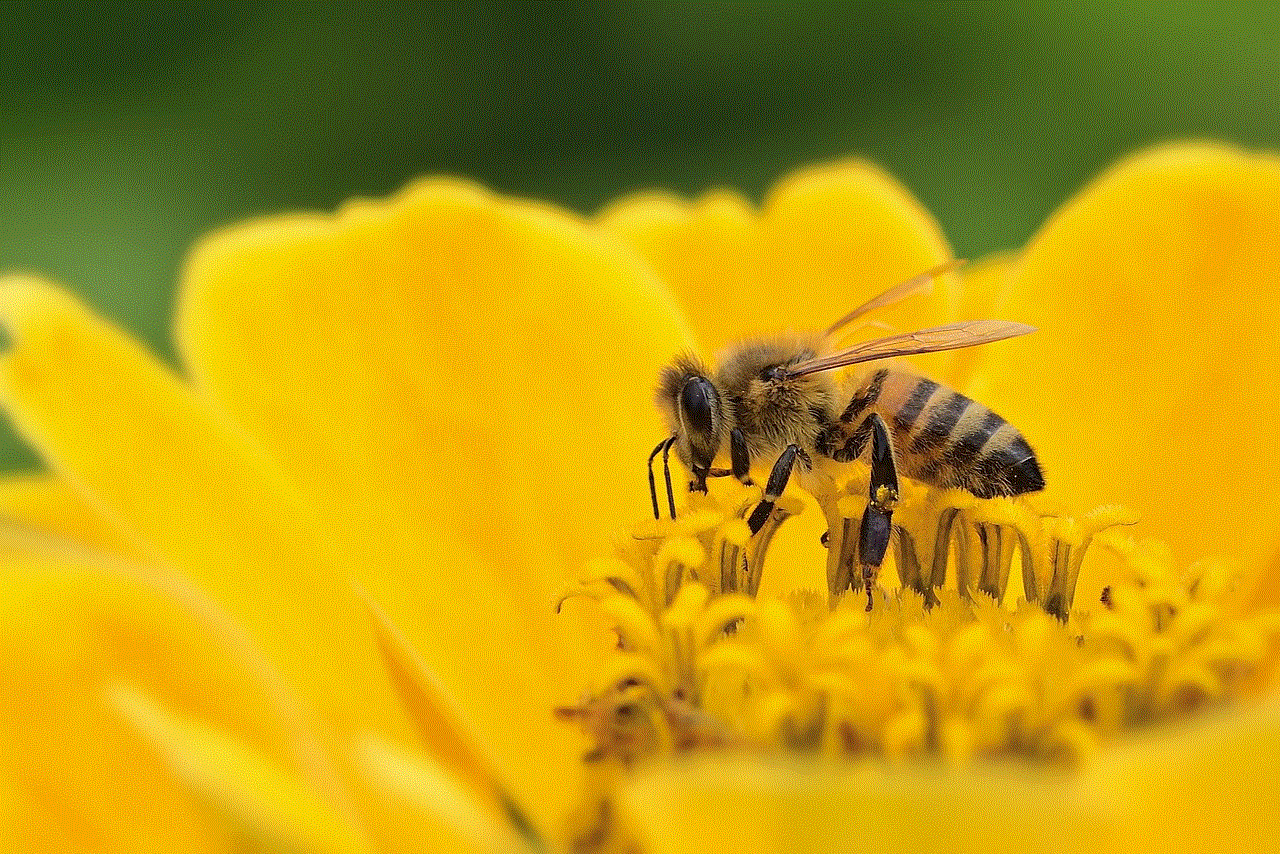 Bee Zinnia