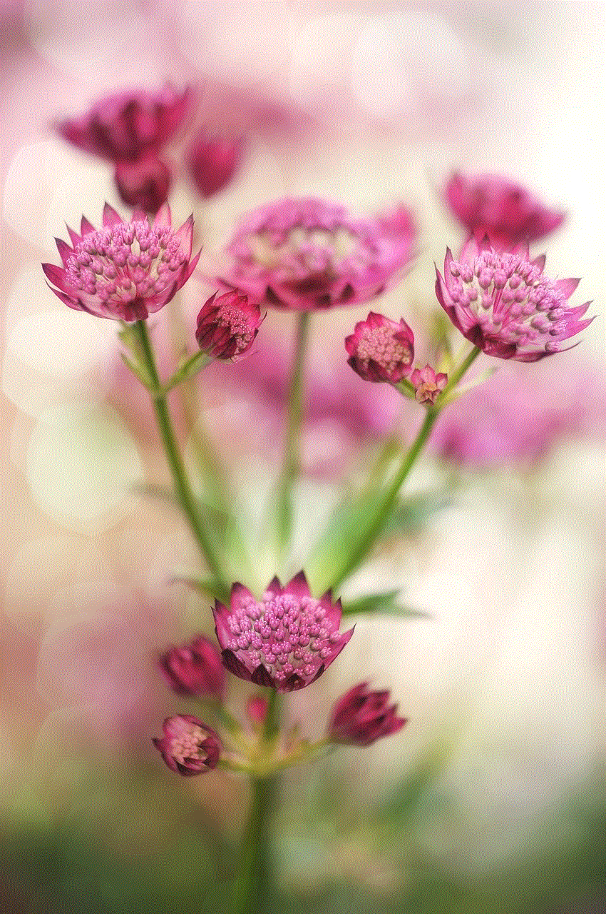 Sternolde Flower