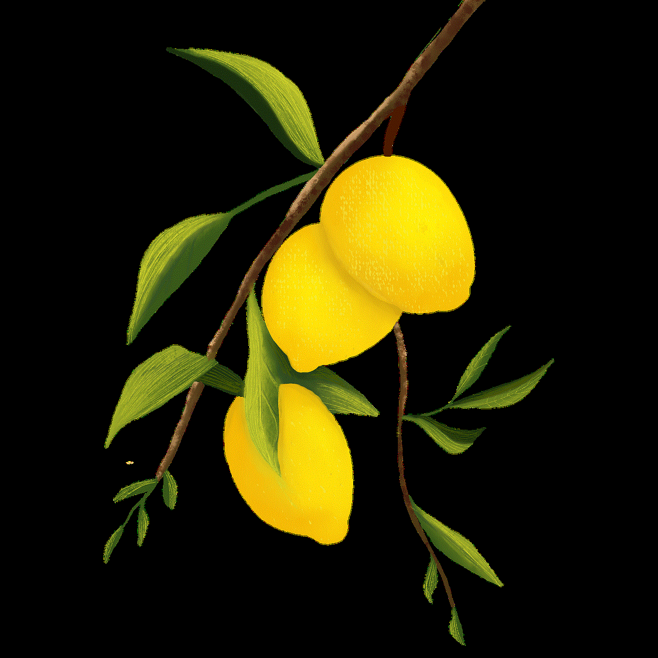 Lemons Fruits