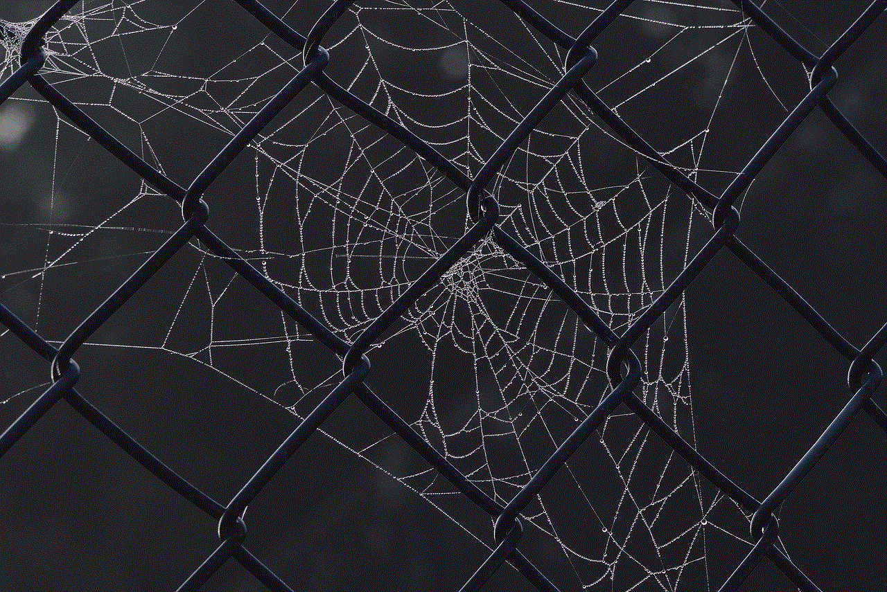 Spider Web Dewdrop