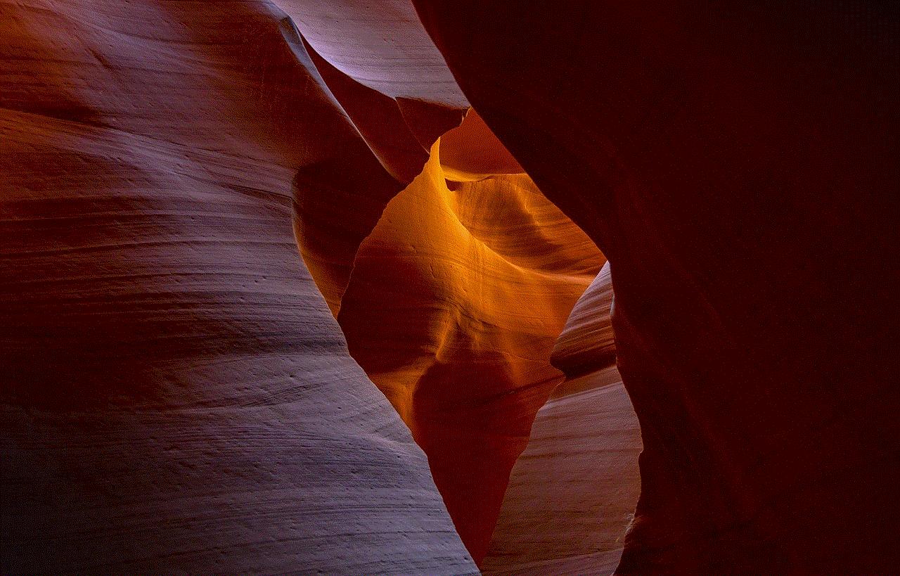 Canyon Sandstone