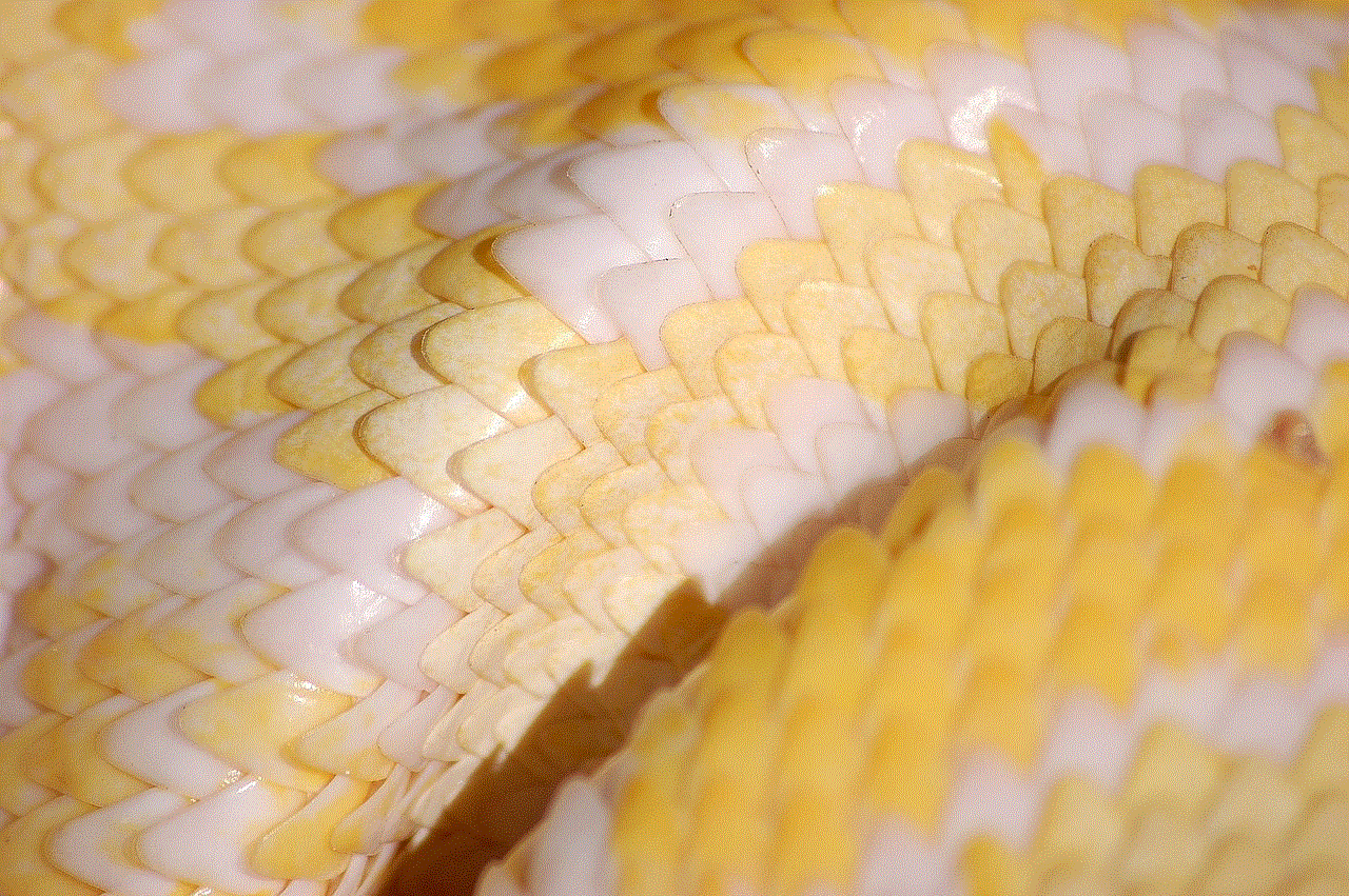 Snake Scales