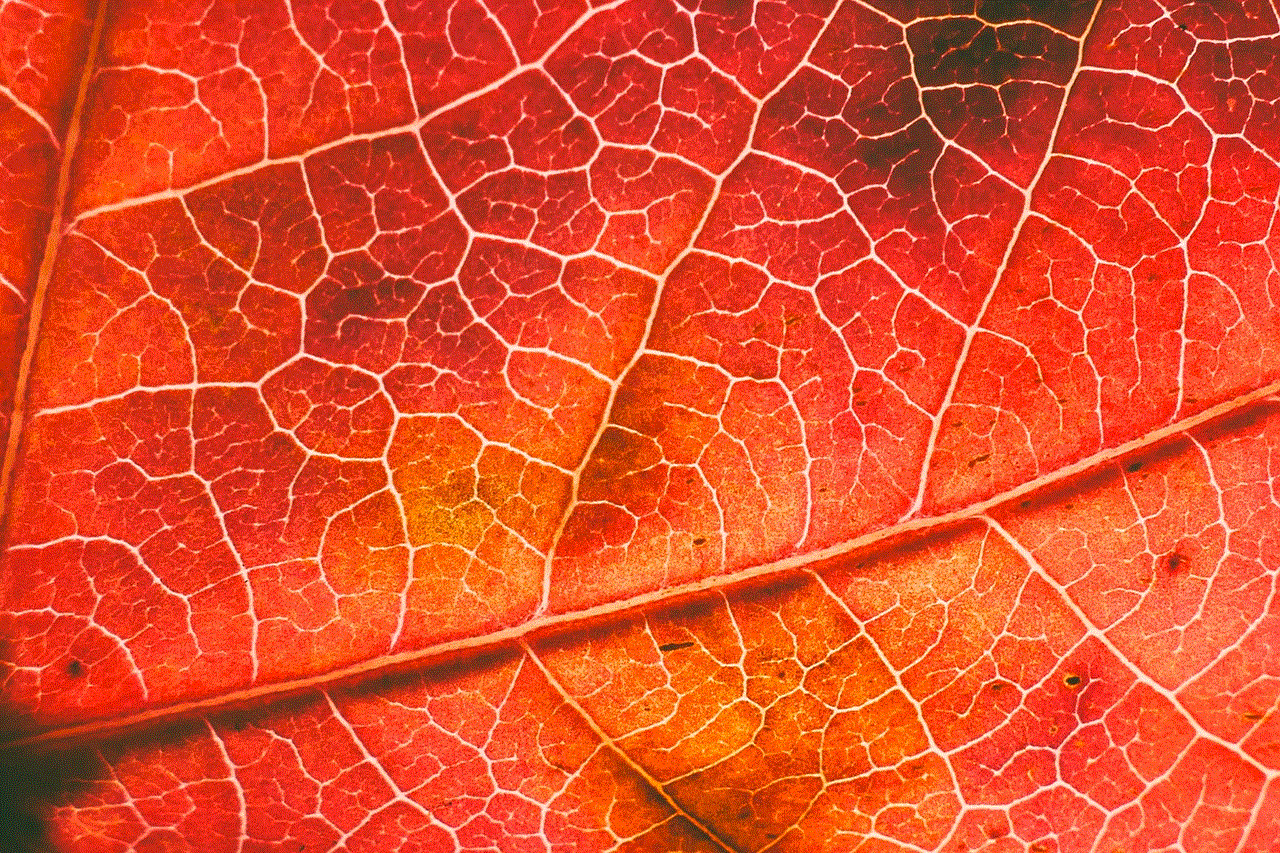 Leaf Wallpaper Hd