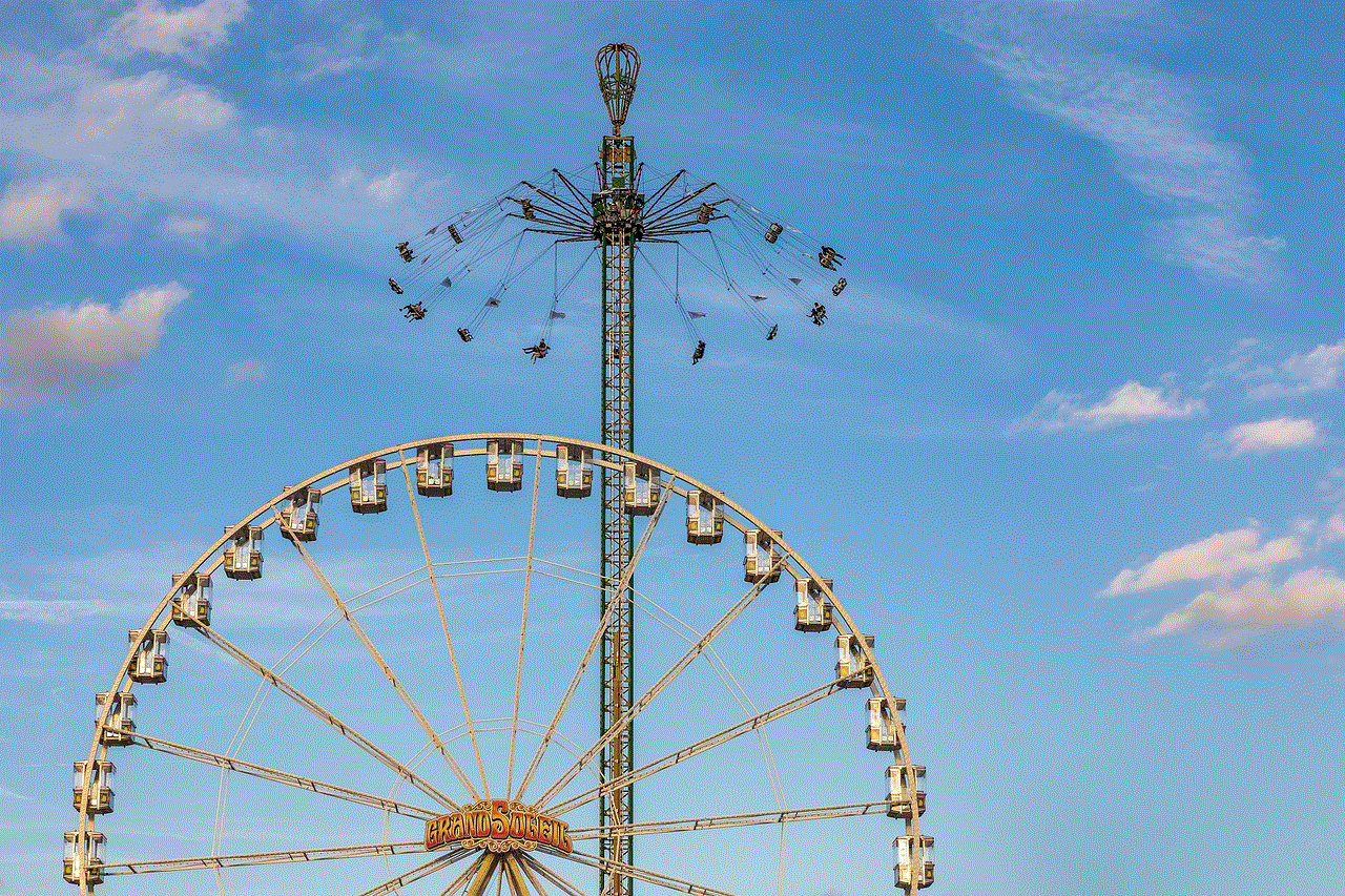 Ferris Wheel Amusement Ride