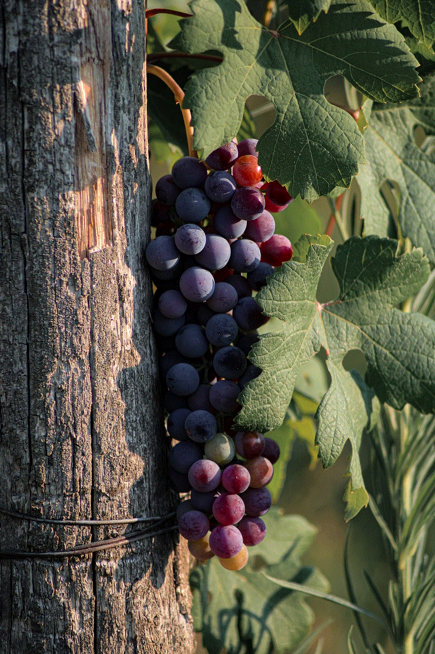 Grapevine Grapes
