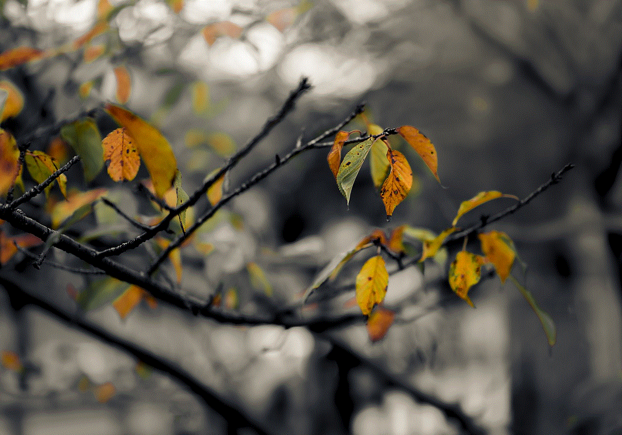 Leaves Branches