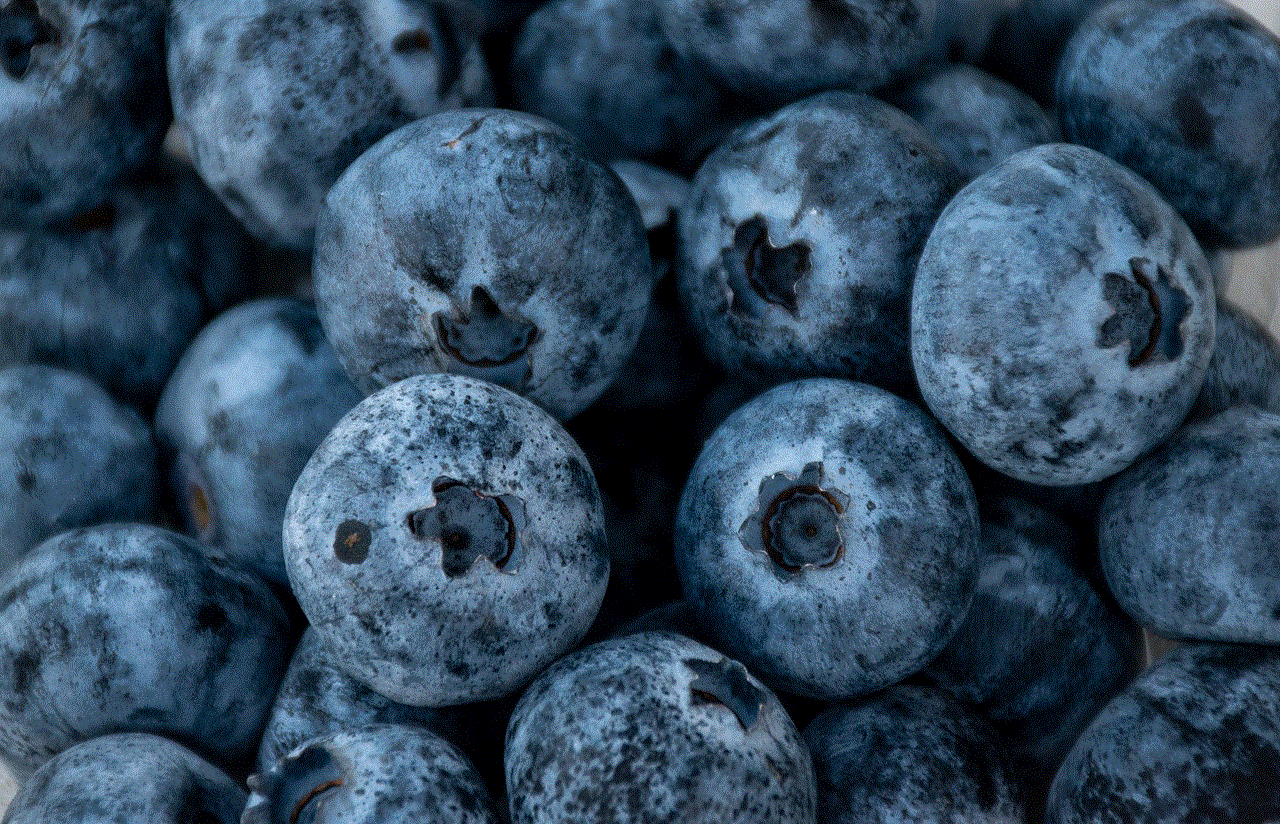 Blueberries Food