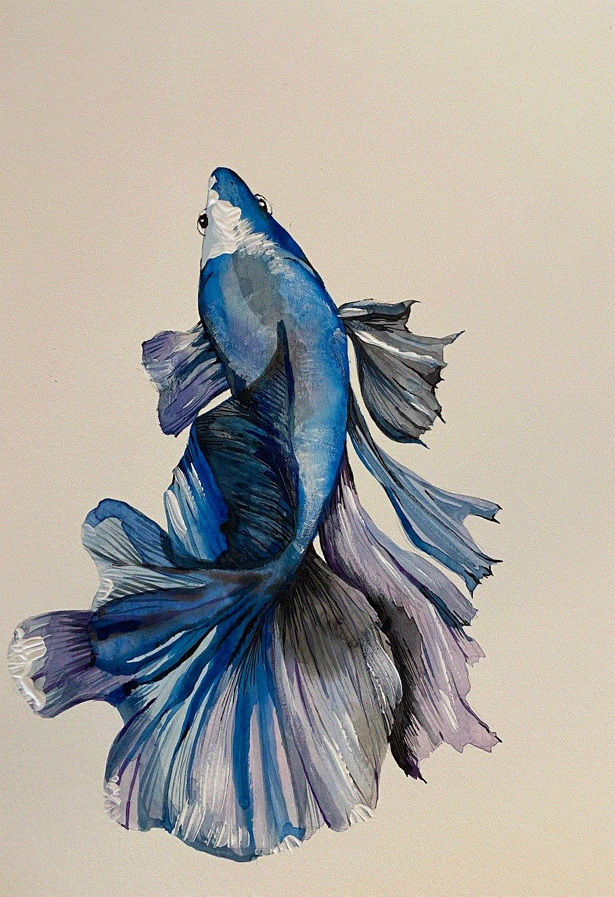 Betta Fish Betta Fish