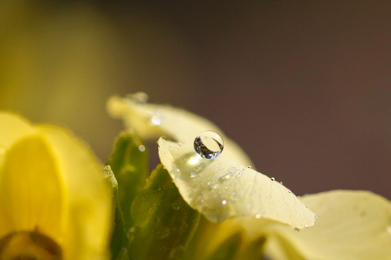 Flower Water Drop