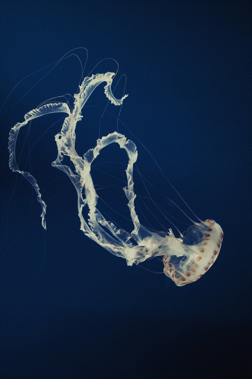 Jellyfish Fish