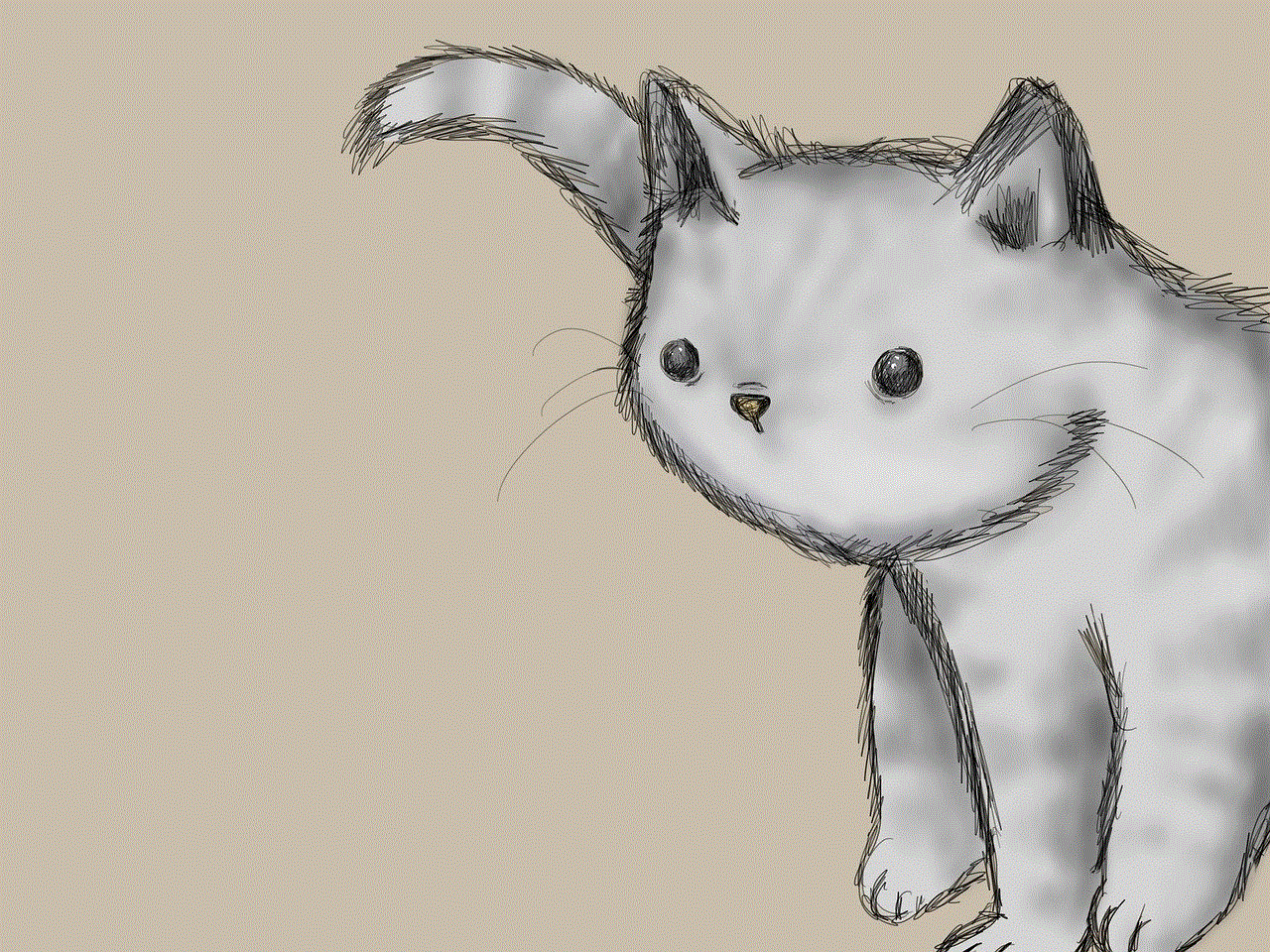 Kitten Cat Kitten Cat