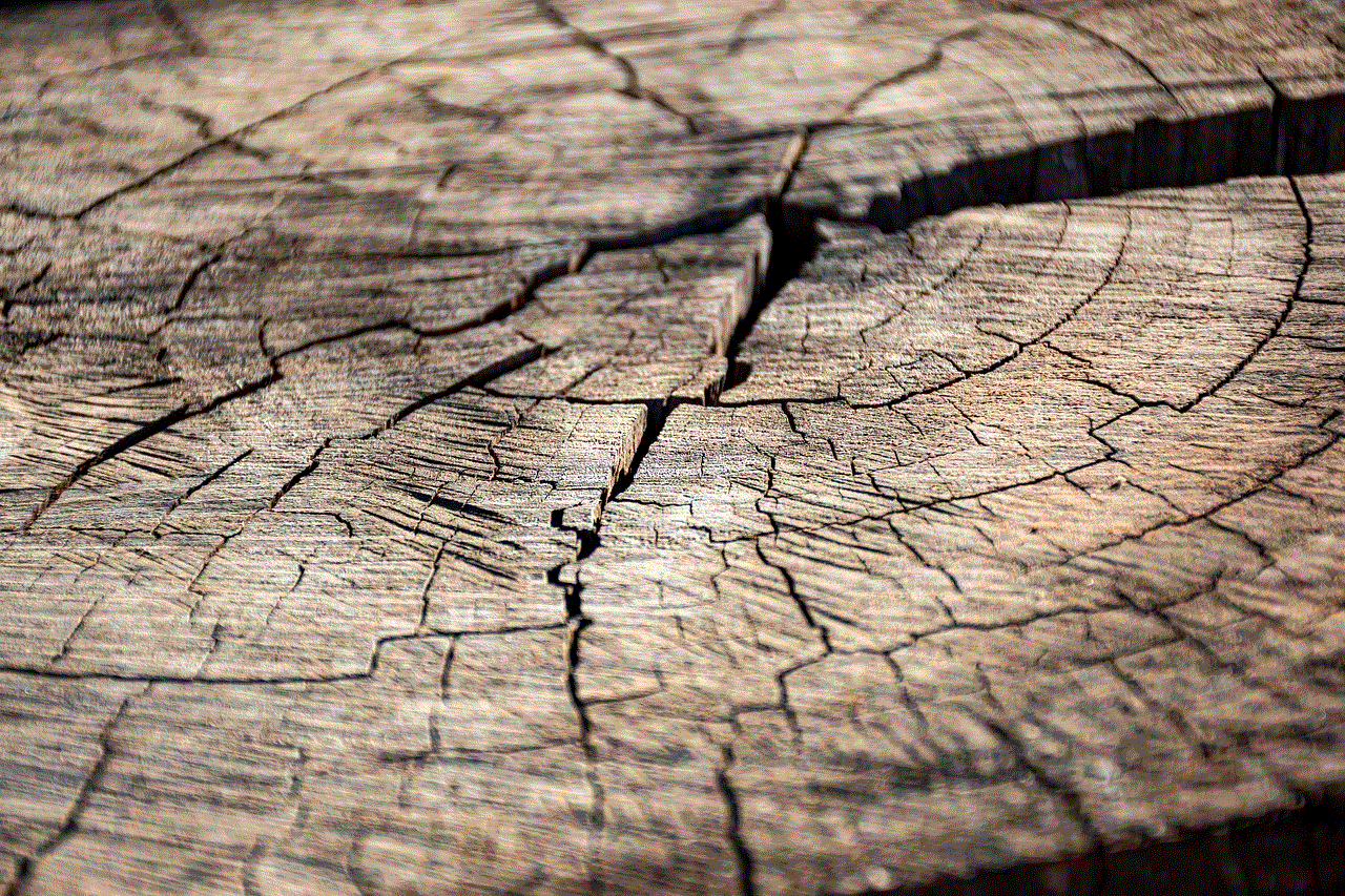 Wood Dry Wood