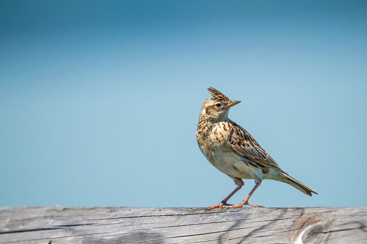 Bird Sitting