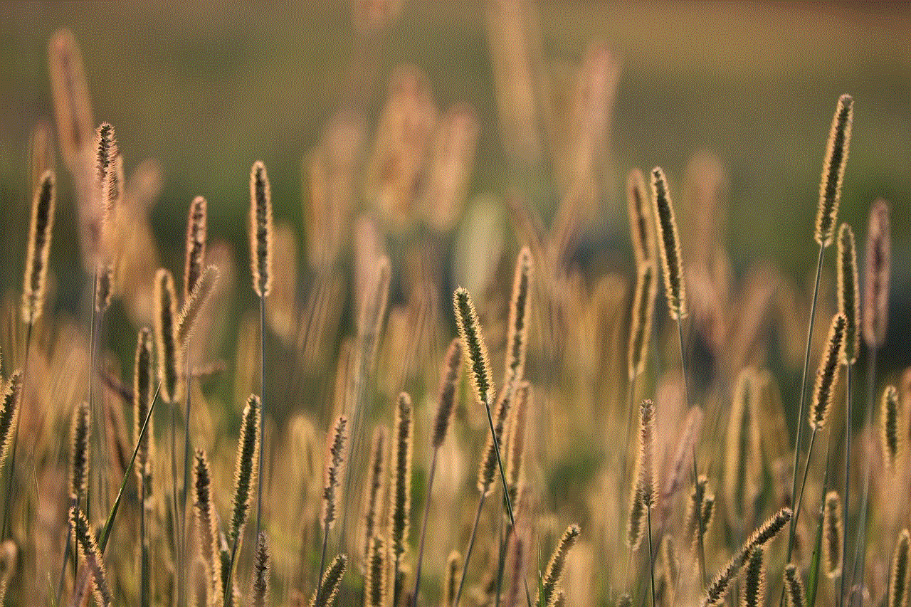 Grass Meadow