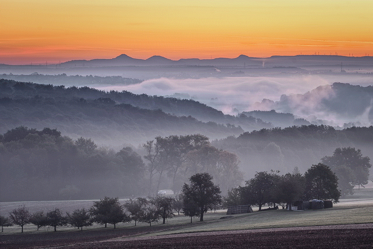 Fog Landscape