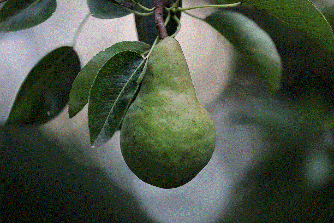 Pear Fruit