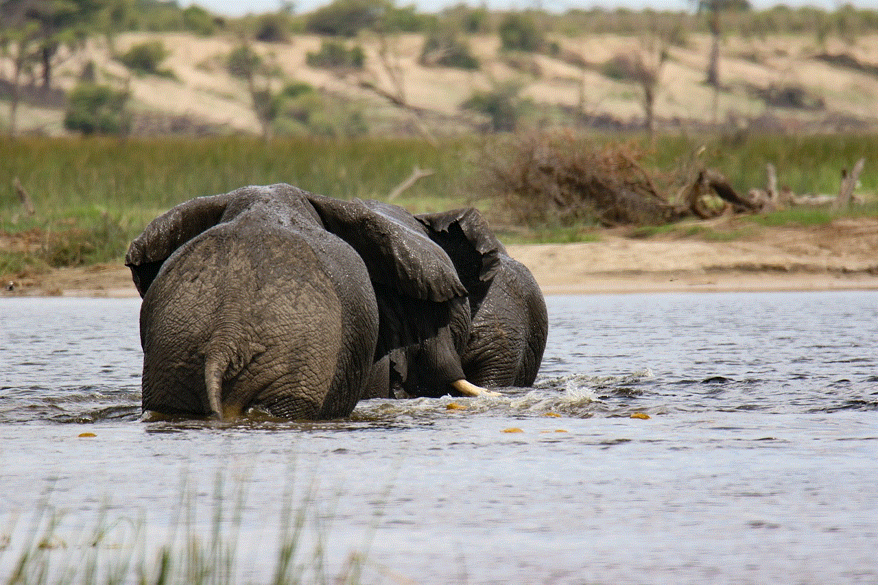 Elephants River