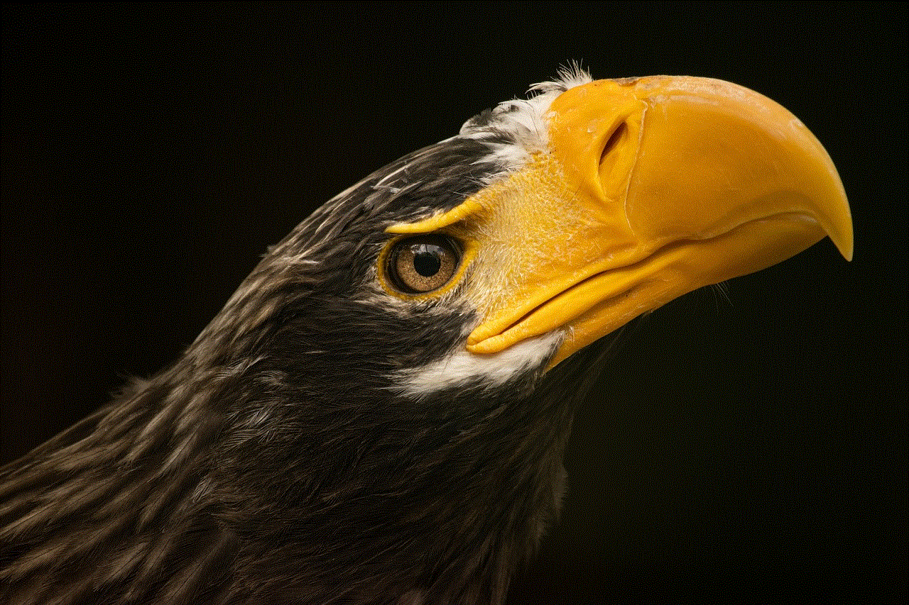Steller'S Sea Eagle Bird