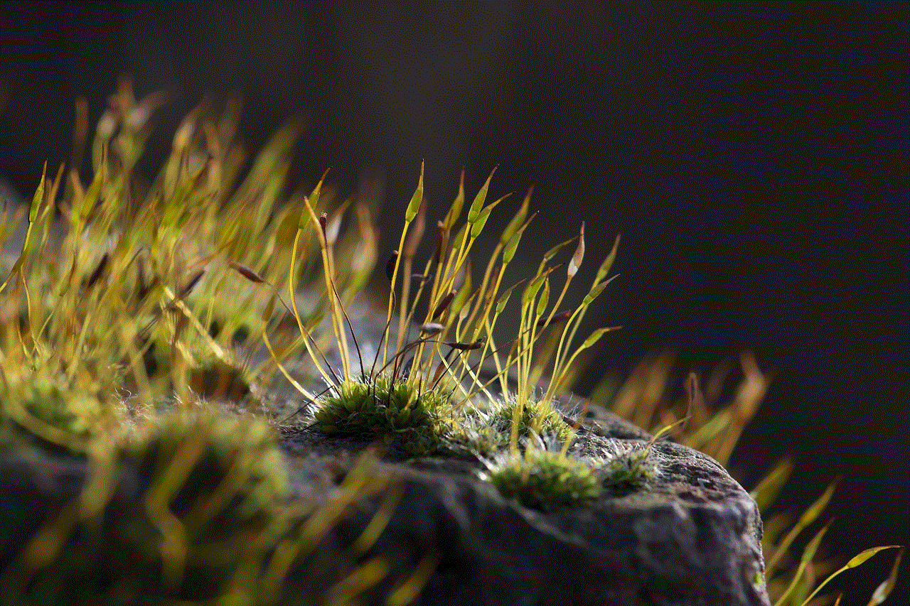 Moss Nature