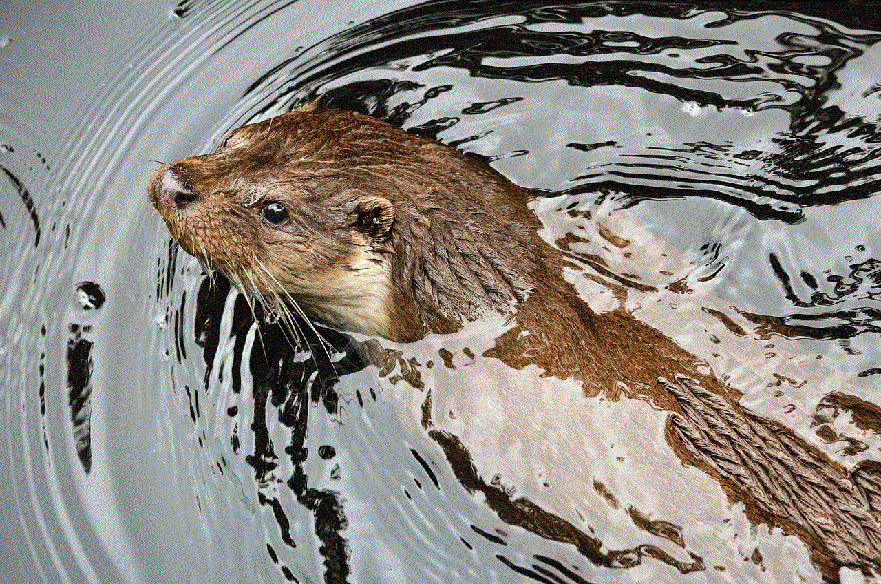 Otter Water Marten