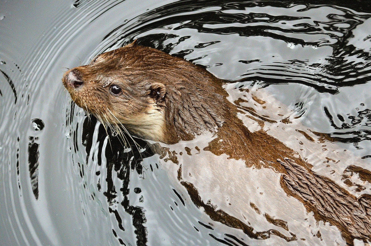 Otter Water Marten Otter Water Marten