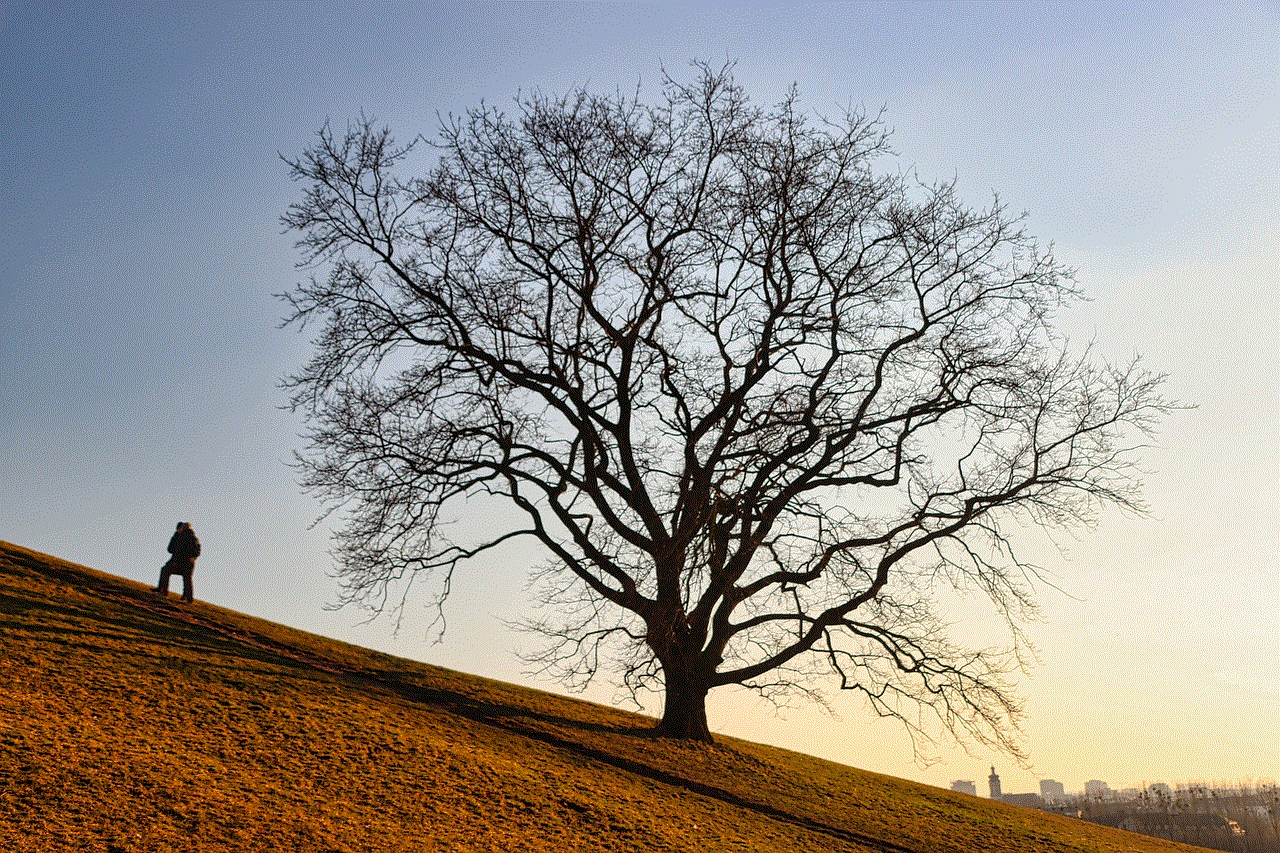 Tree Hill
