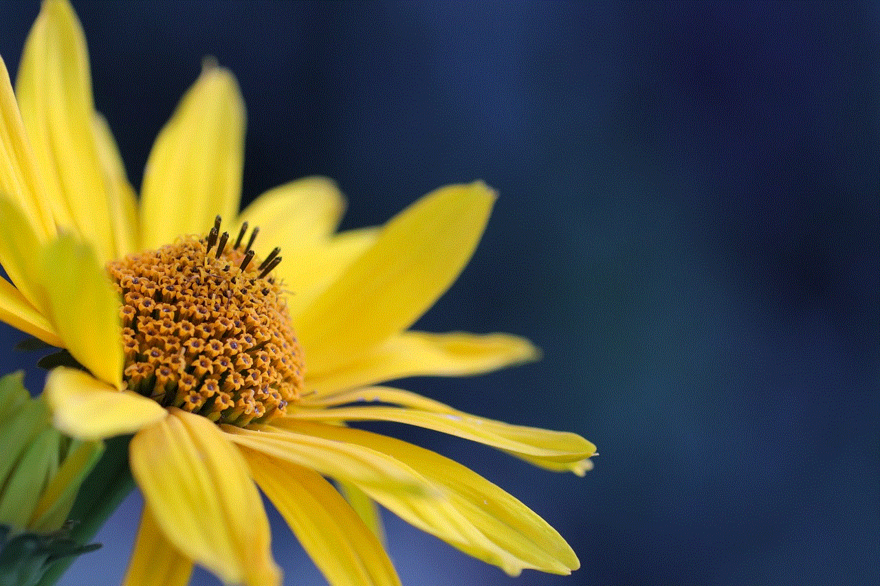 Flower Yellow Flower