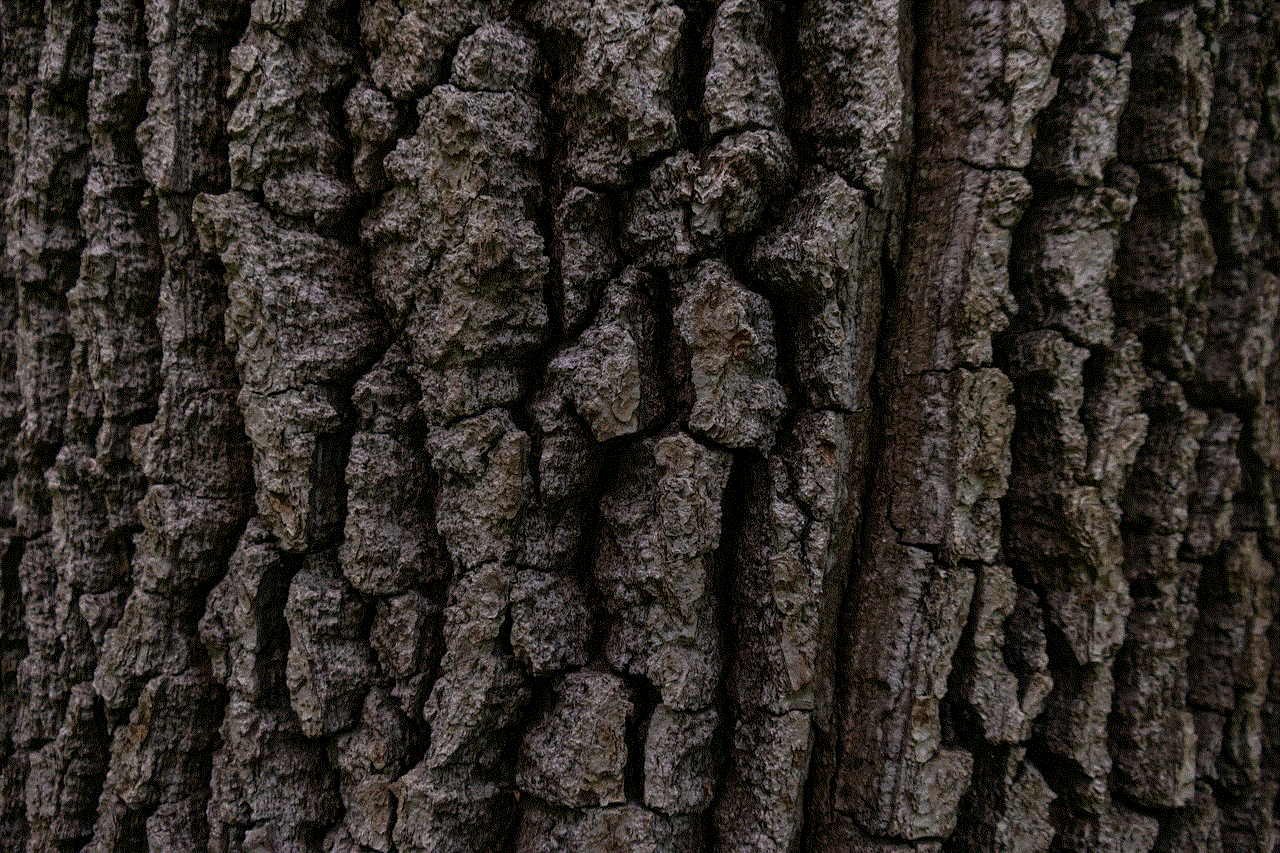 Bark Tree Bark Tree