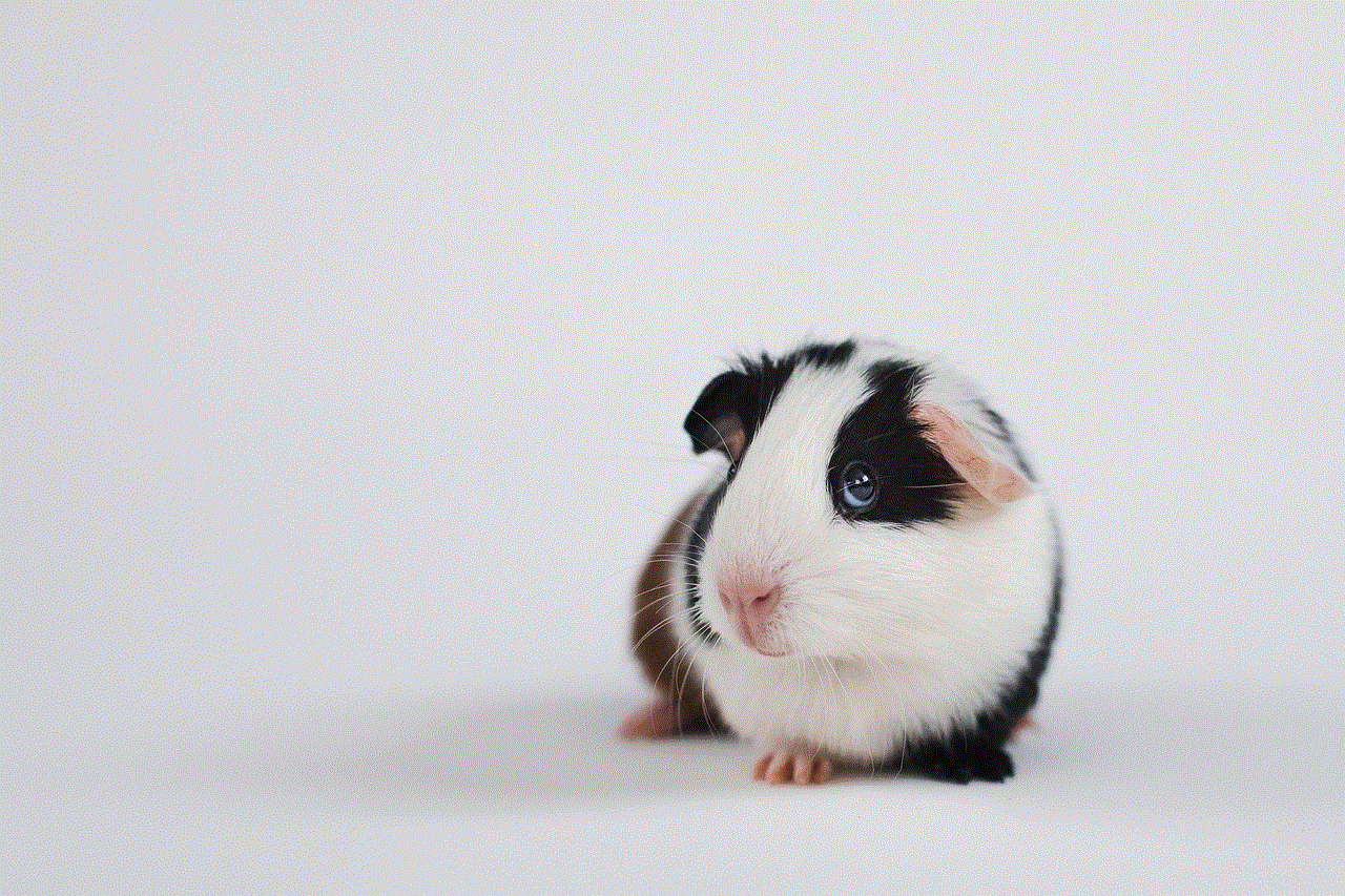 Cavia Caviidae