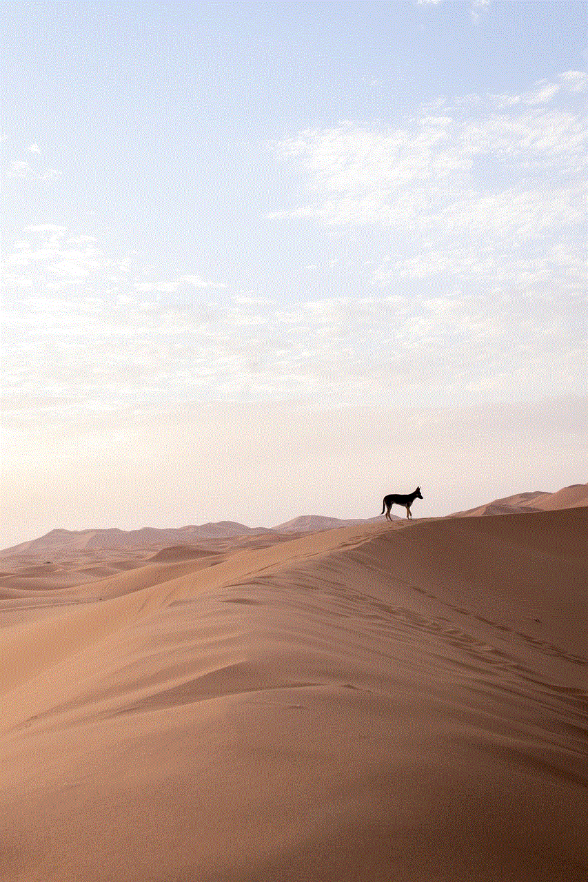 Desert Dog