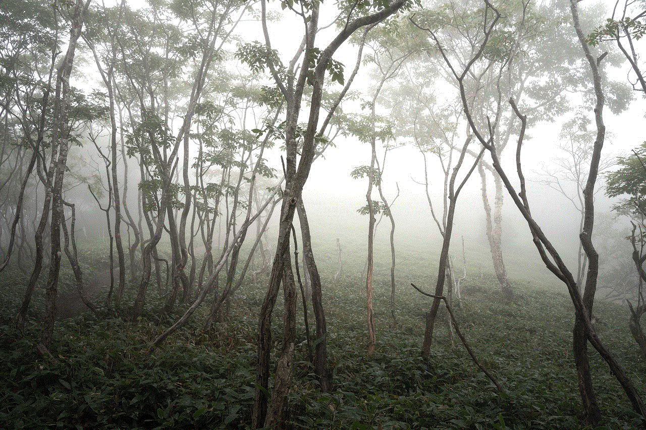 Fog Trees