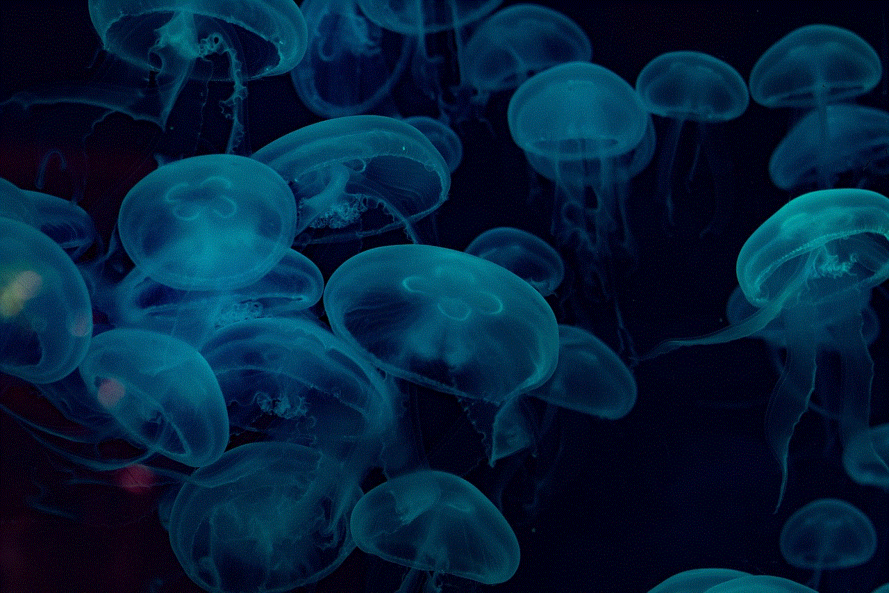 Jellyfish Sea